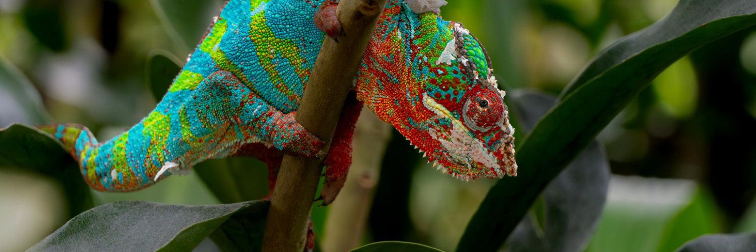 GhostriderzMo's profile banner image