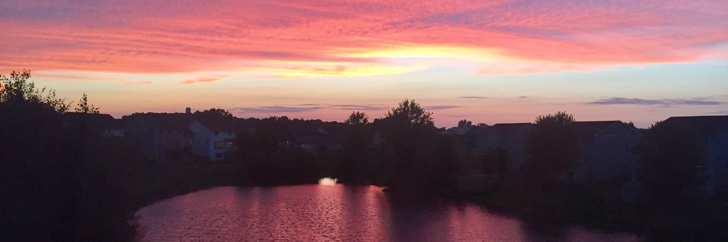 Michelle Weed banner