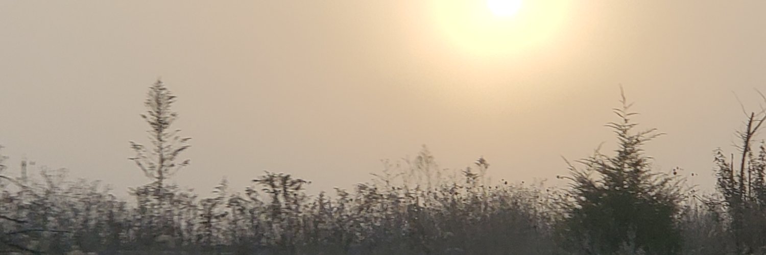 RoderickPayne10's profile banner image