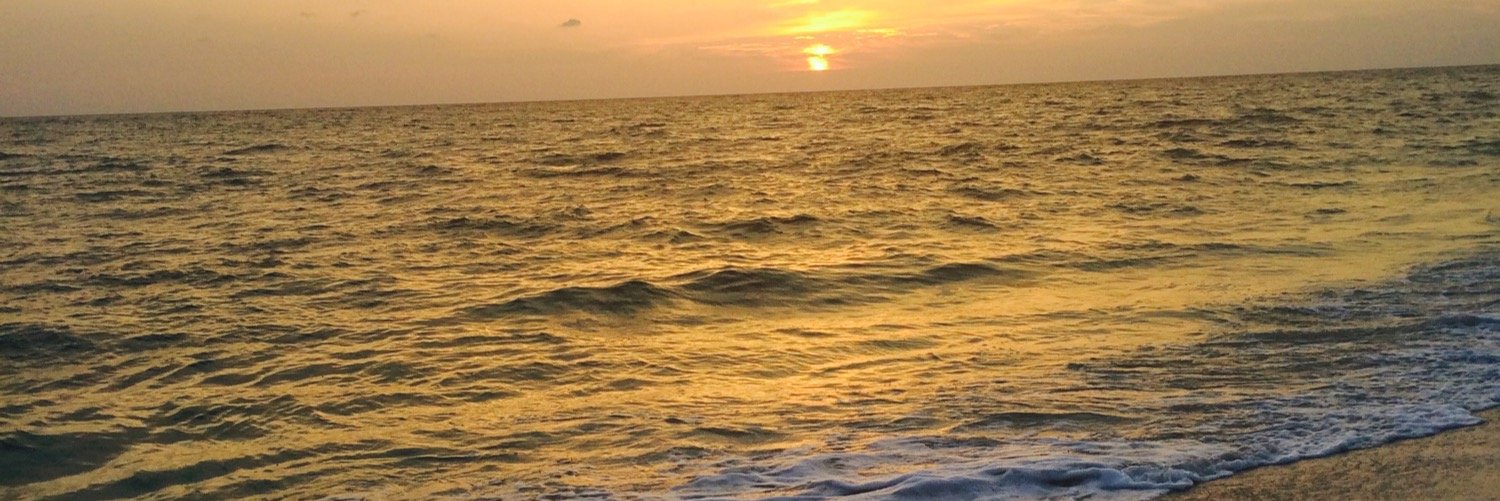 sam_guzman28's profile banner image