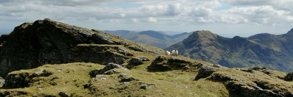 danielmcavoy Profile Banner