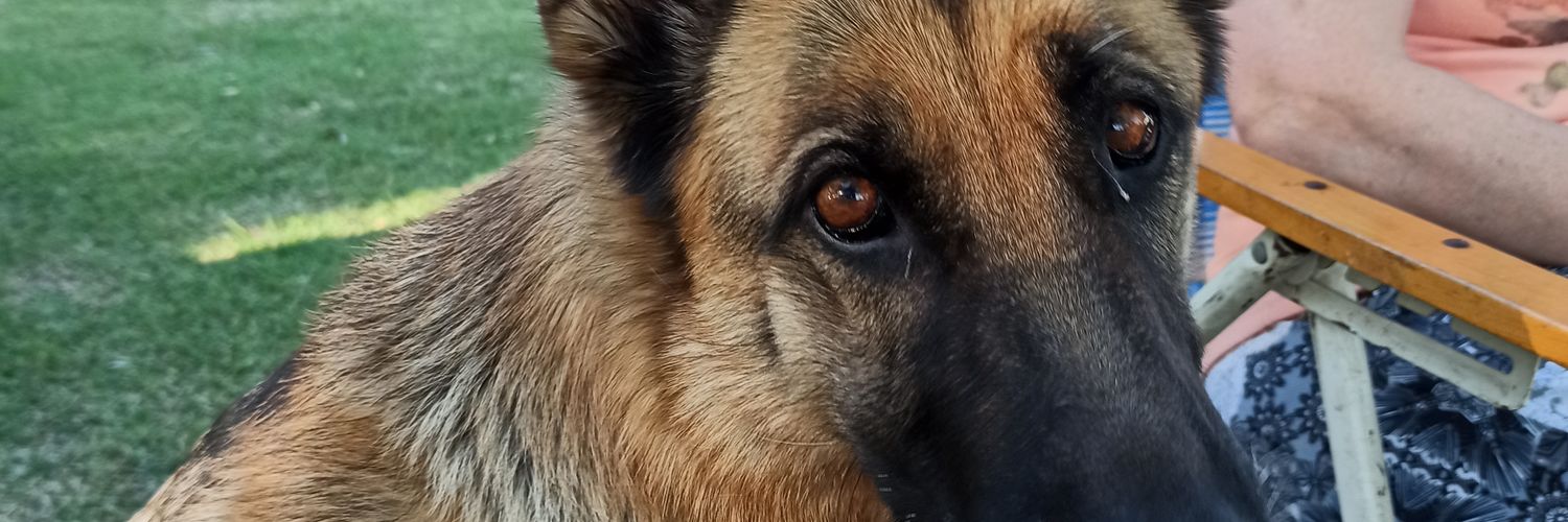 peron_david's profile banner image