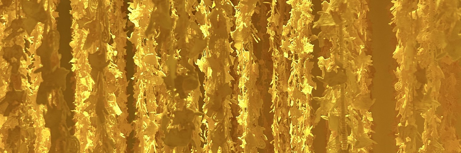 Trinnigan's profile banner image