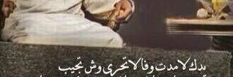LeLo banner