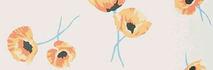 CeleDucoli's profile banner image