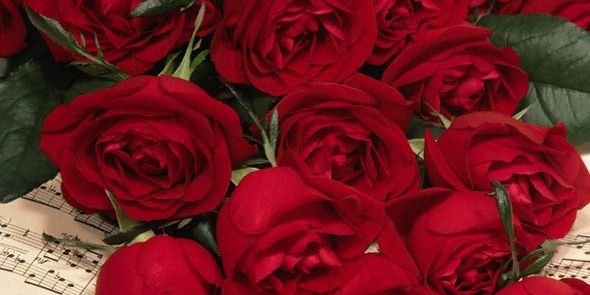 TRF_202's profile banner image