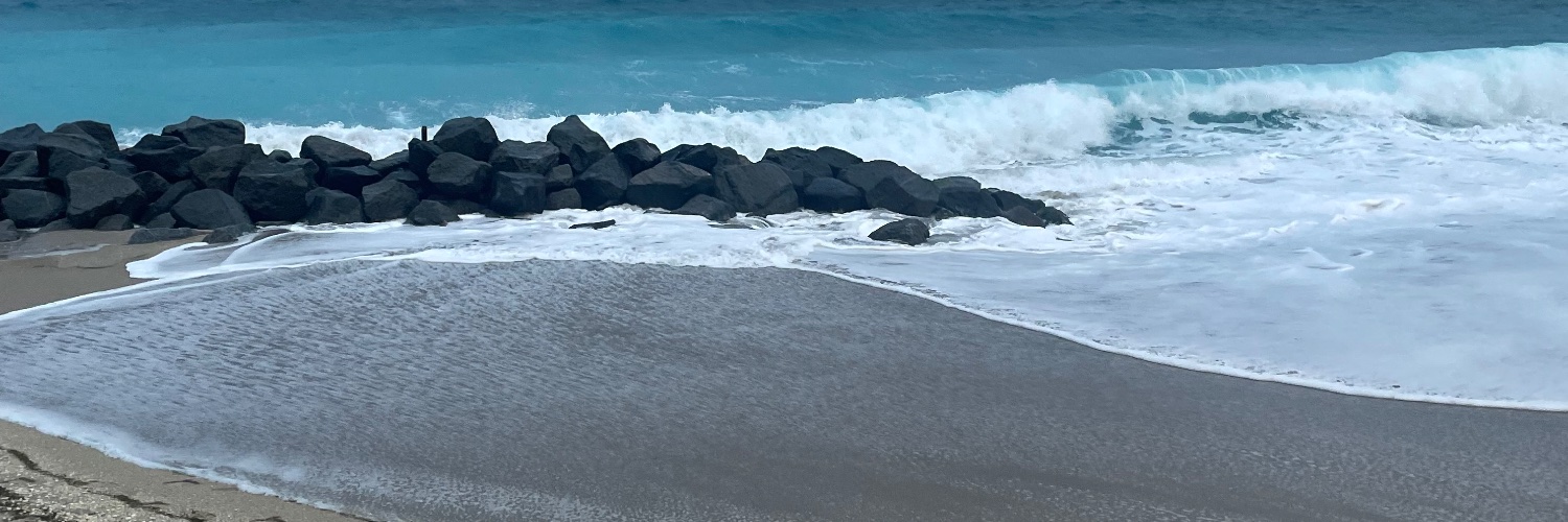 OSCAR RESTREPO banner