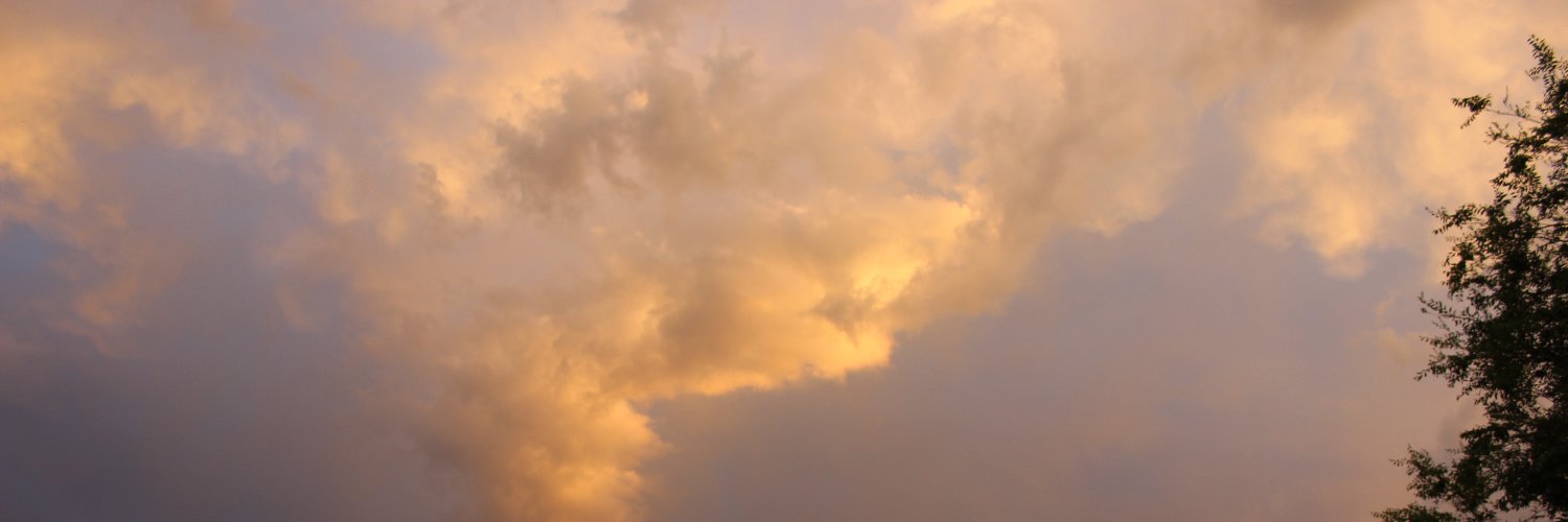 Emma Bowman banner