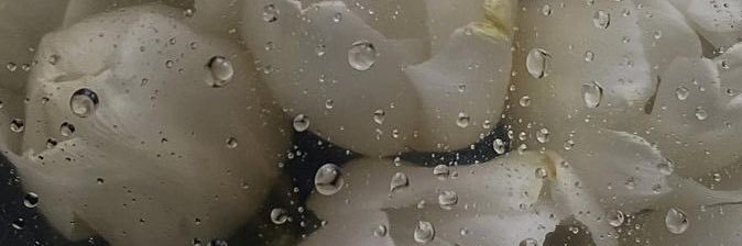 smnonn's profile banner image