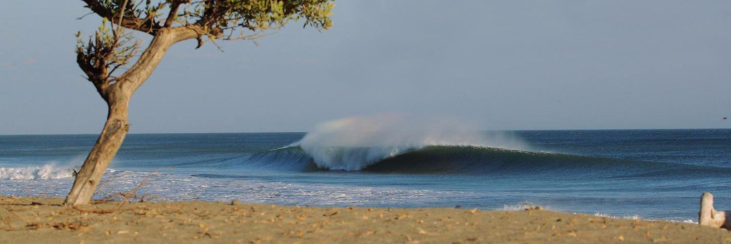 unleashedsurfer's profile banner image