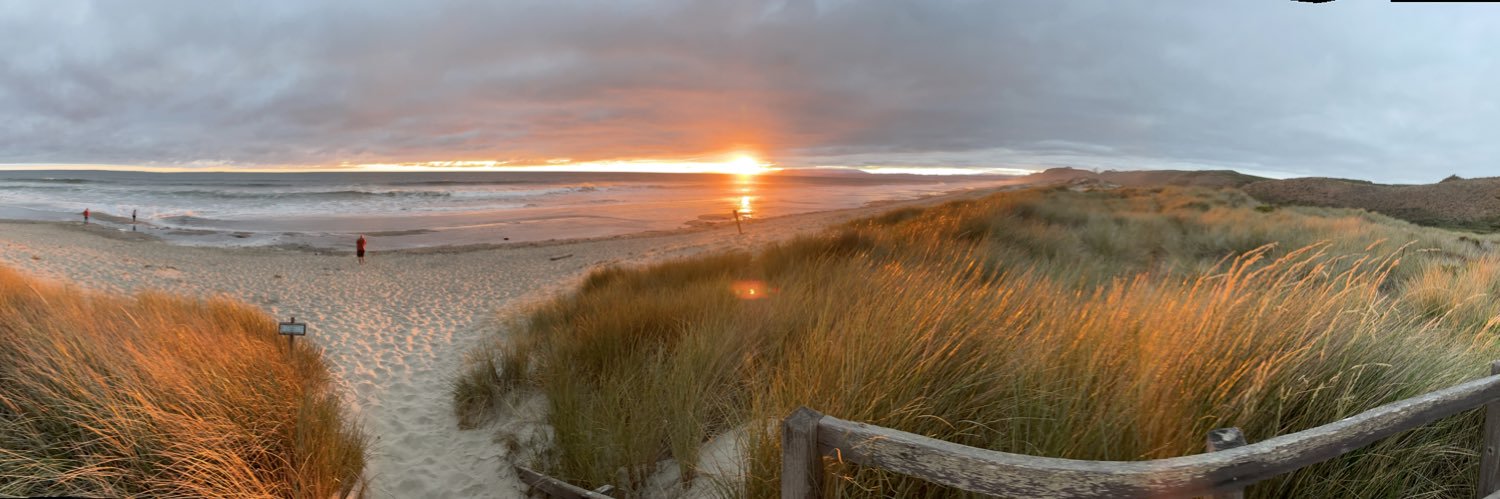 BlueCryptoDragon banner