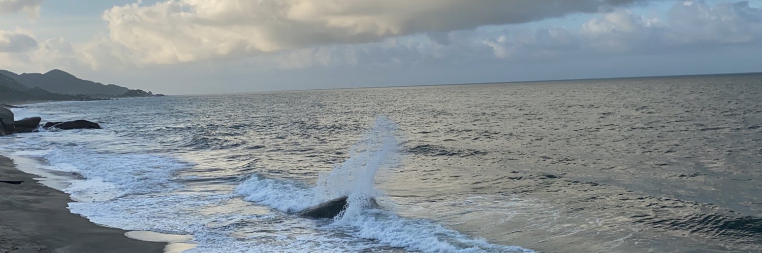 María F. Fitzgerald 🐚 banner