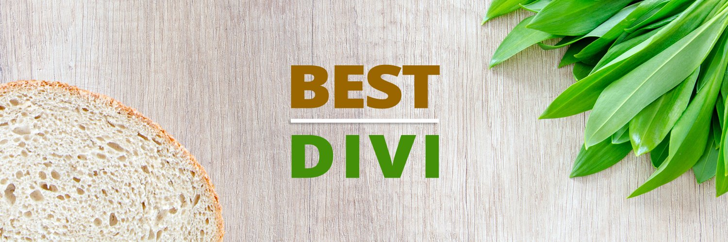 Best Divi banner