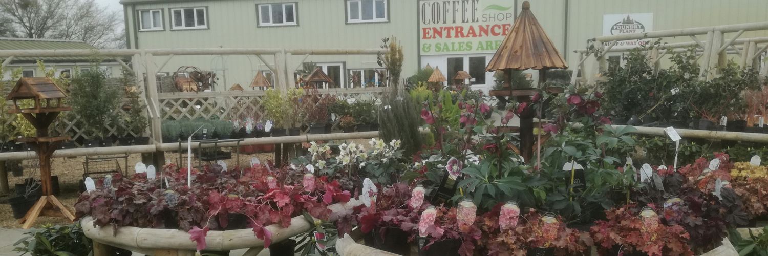 Foundryplant's profile banner image