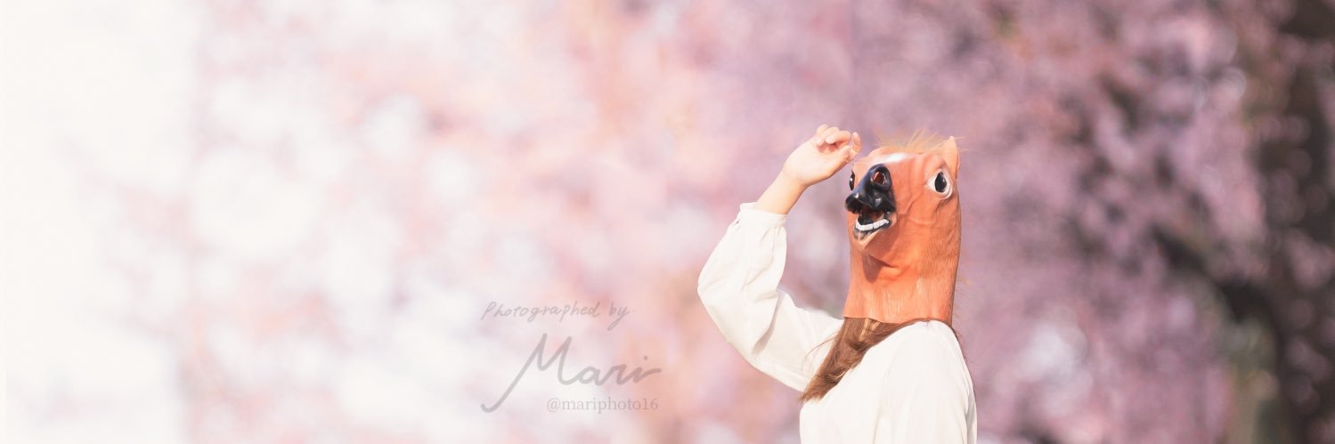 m a r i's banner