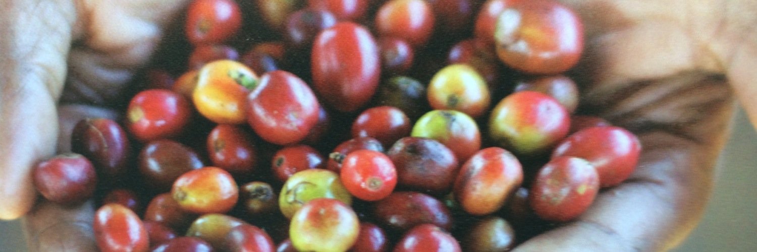 CafeEcoCork's profile banner image