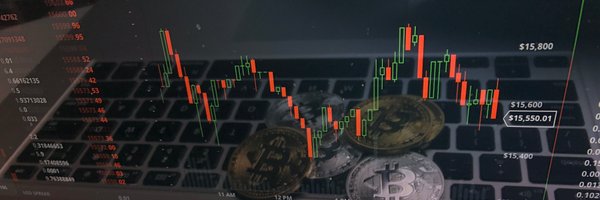 TokenEconomist Profile Banner