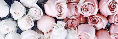 eminee_polat's profile banner image