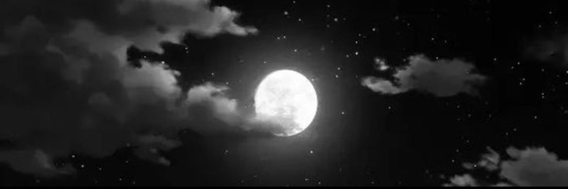 zovxid's profile banner image
