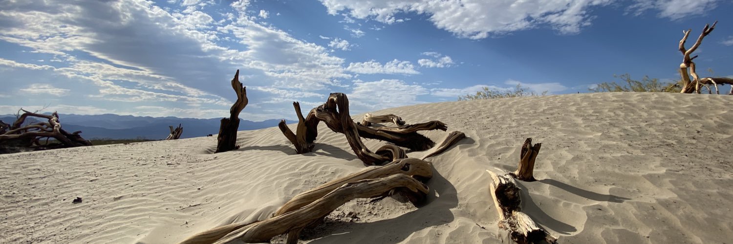 Not complicit. banner