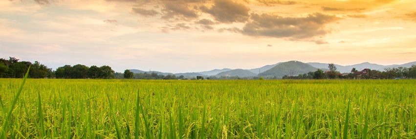 Fodere Propiedades banner