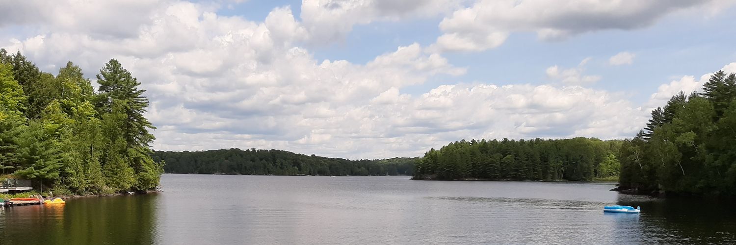 LoganStroman's profile banner image