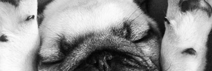 conroids_'s profile banner image