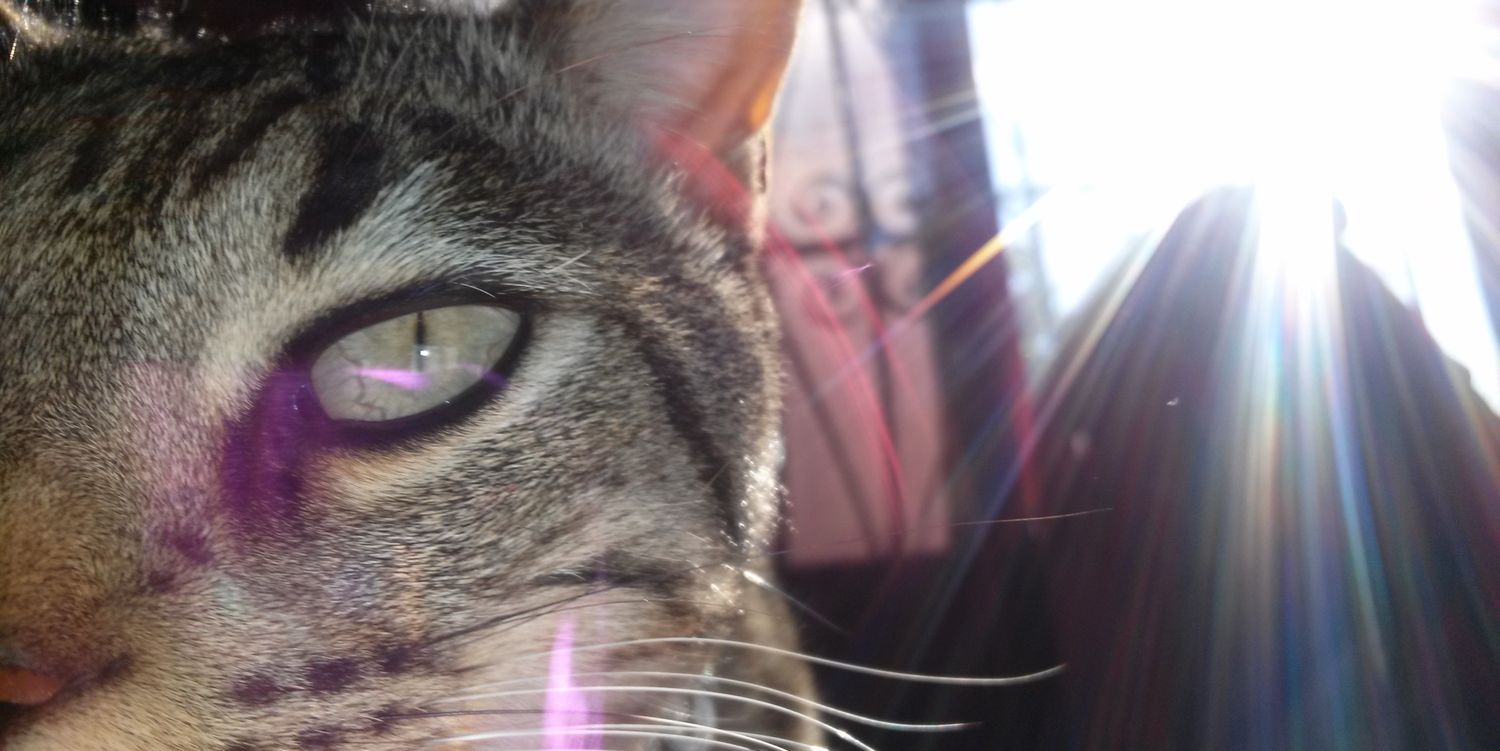 valerimejias's profile banner image