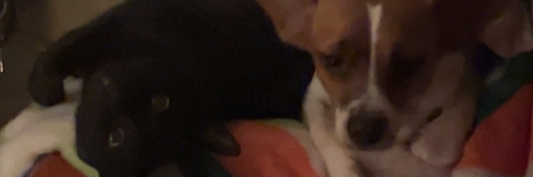 deemn28's profile banner image