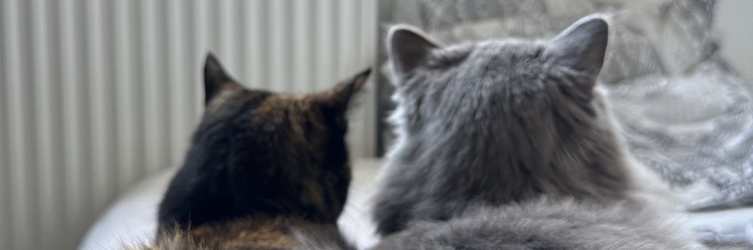 maxstml's profile banner image