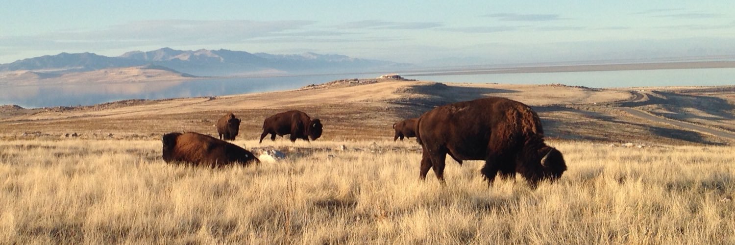 Antelope Island SP banner