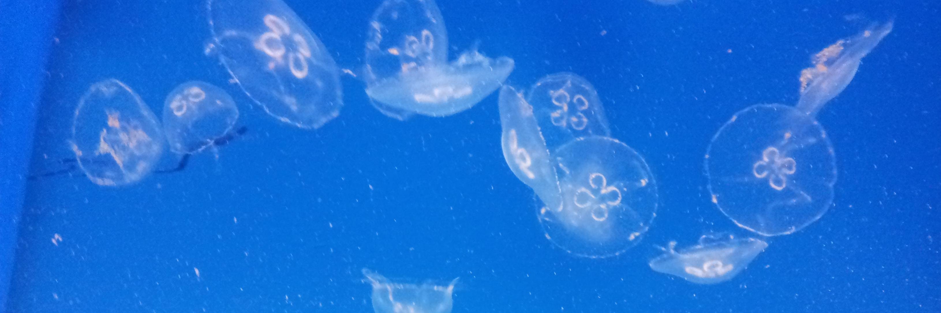 bigtall1964's profile banner image