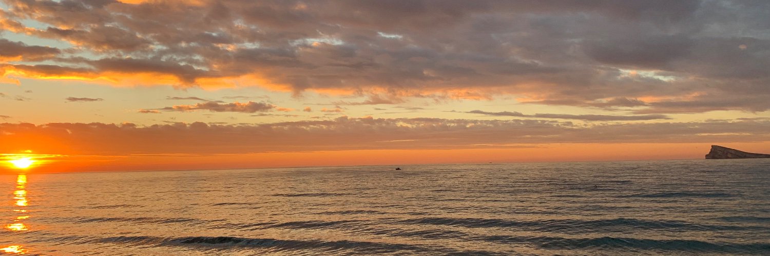 sfmiralles's profile banner image