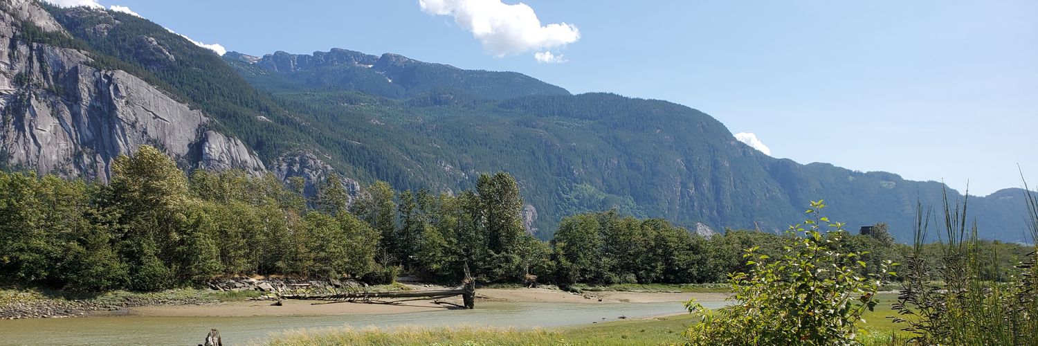 David Stevenson 🇨🇦🏳️‍🌈🏳️‍⚧️🇺🇦 banner