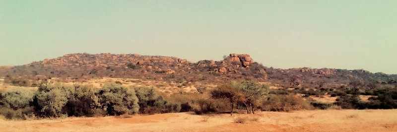 Phaahle🇿🇦🇲🇬 banner