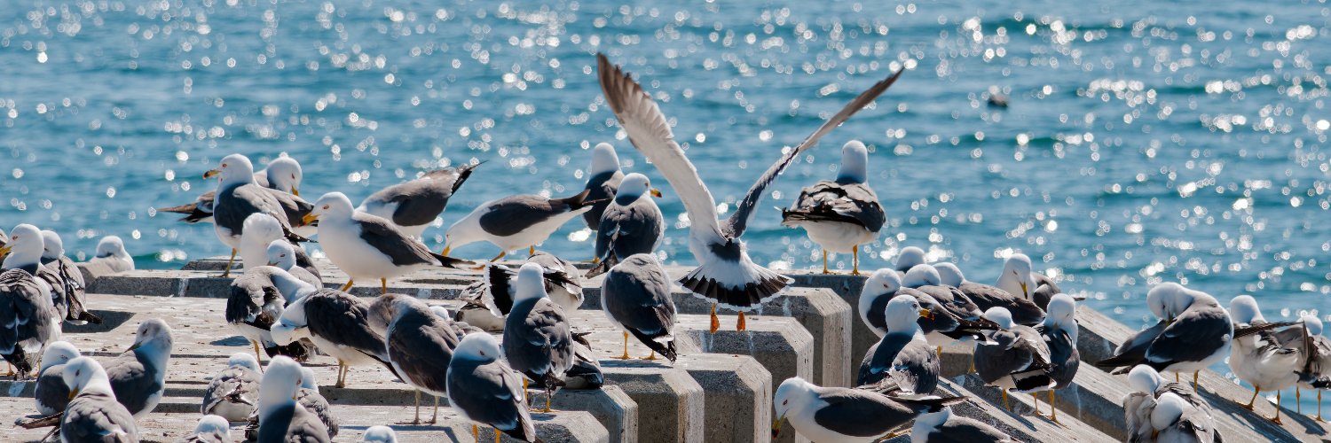 🔞Megalith@ツイッター banner