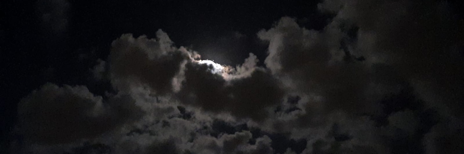 AriiTheRev1's profile banner image