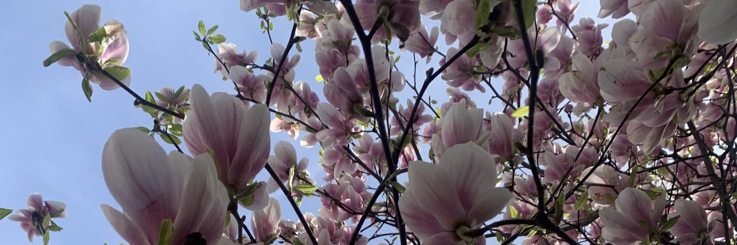 𝐃𝐚𝐧𝐢𝐞𝐥𝐥𝐞🤎 banner