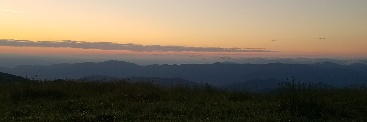 AveryCypress's profile banner image