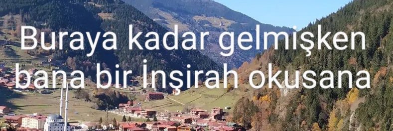 Ayşe banner