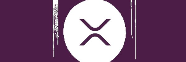 Cryptobilbuwoo0 Profile Banner