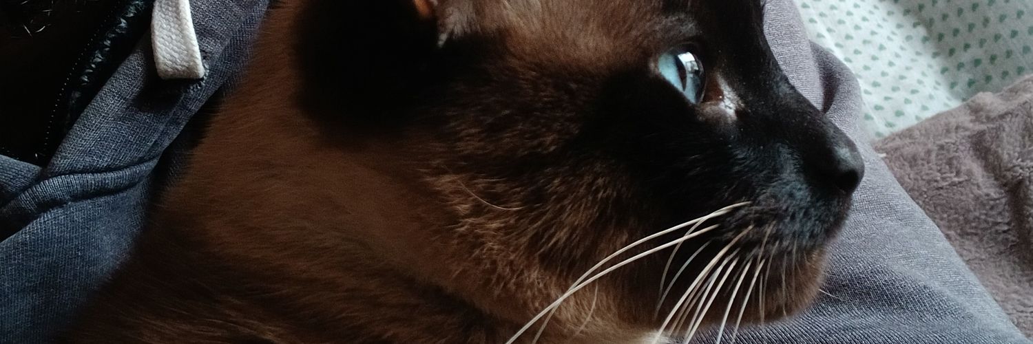 _lucasmarley's profile banner image