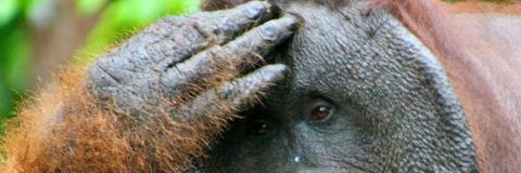 hevbevcoombs's profile banner image