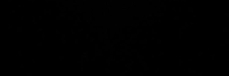 89 banner