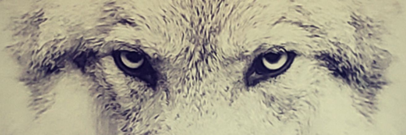 dneville79's profile banner image