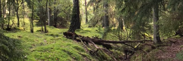 JediMindTrick__'s profile banner image