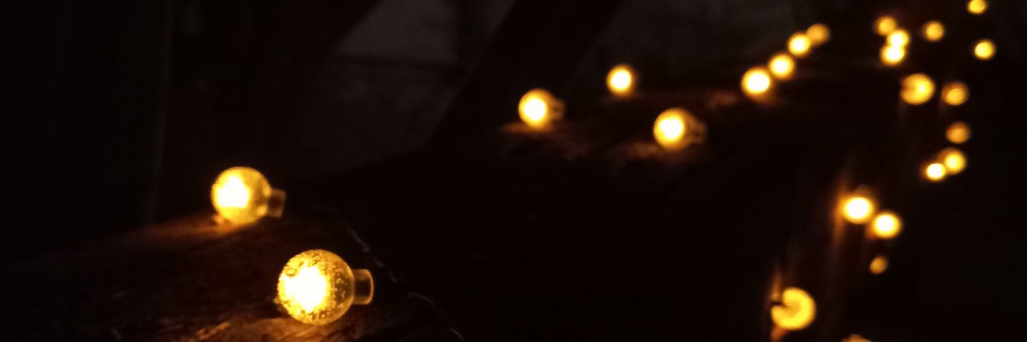 comdoisLpfvr's profile banner image