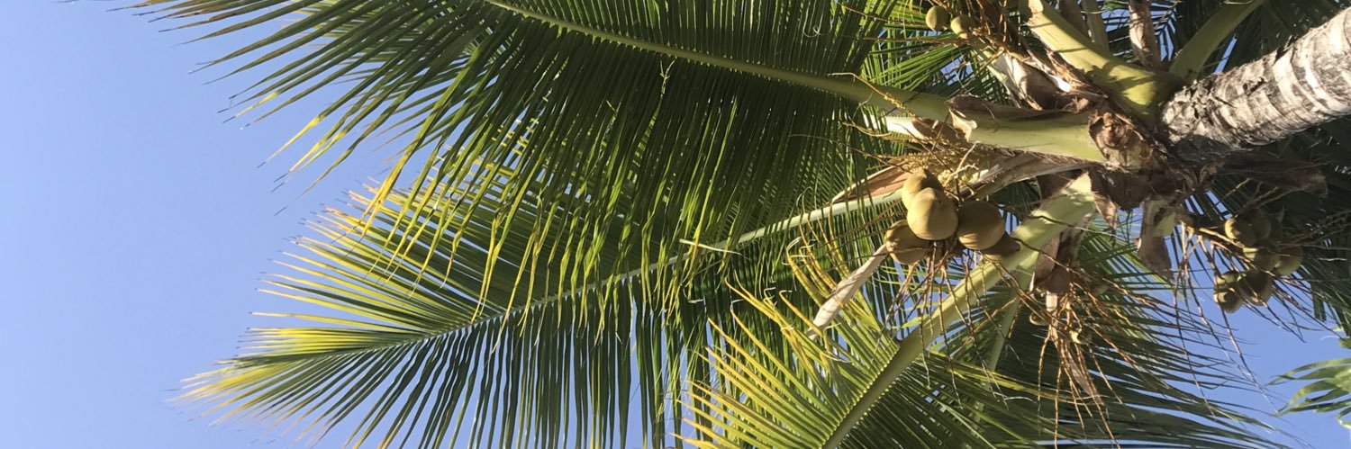 Isy_________'s profile banner image