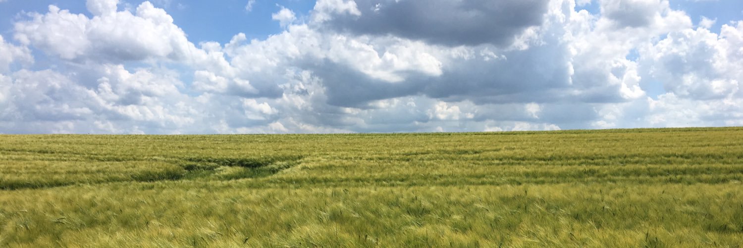 Matthias Mayer banner