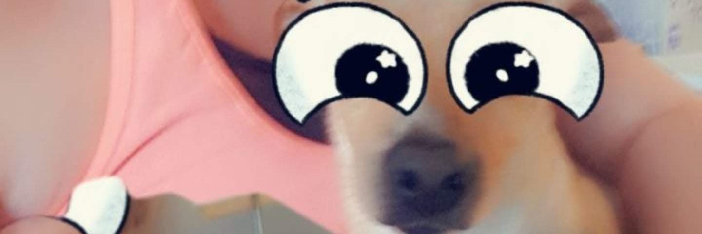Bouche banner